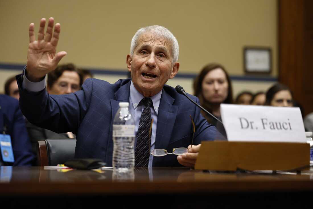 Dr. Anthony Fauci, former Director of the National Institute of Allergy and Infectious Diseases, testifies before the House Oversight and Accountability Committee Select Subcommittee on the Coronavirus Pandemic on June 03, 2024 in Washington, DC. Fauci is expected to appear before the Senate Homeland Security and Governmental Affairs Committee on July 29, 2026.