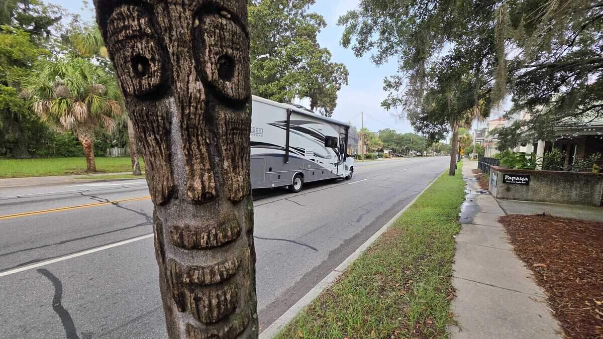 Iconic Beaufort tree carving by local legend finds a new home