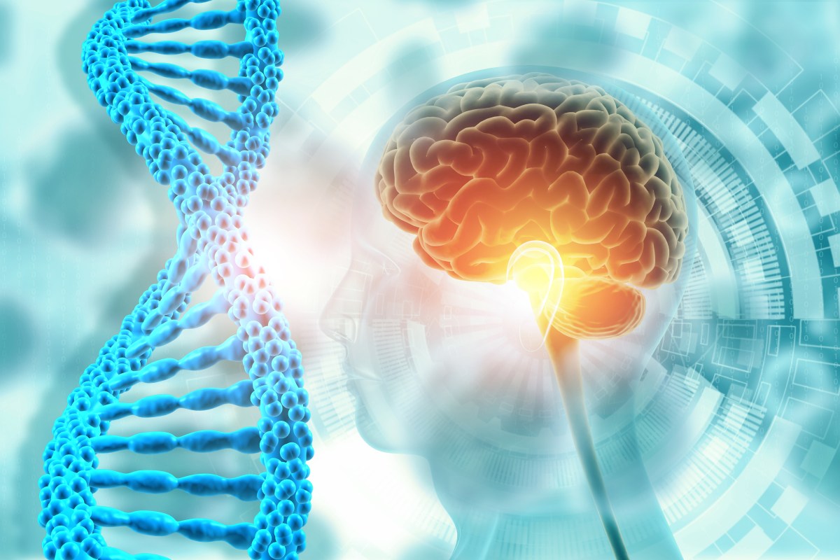 Scientists Study ‘SuperAgers,’ Make Surprising Alzheimer’s Discovery
