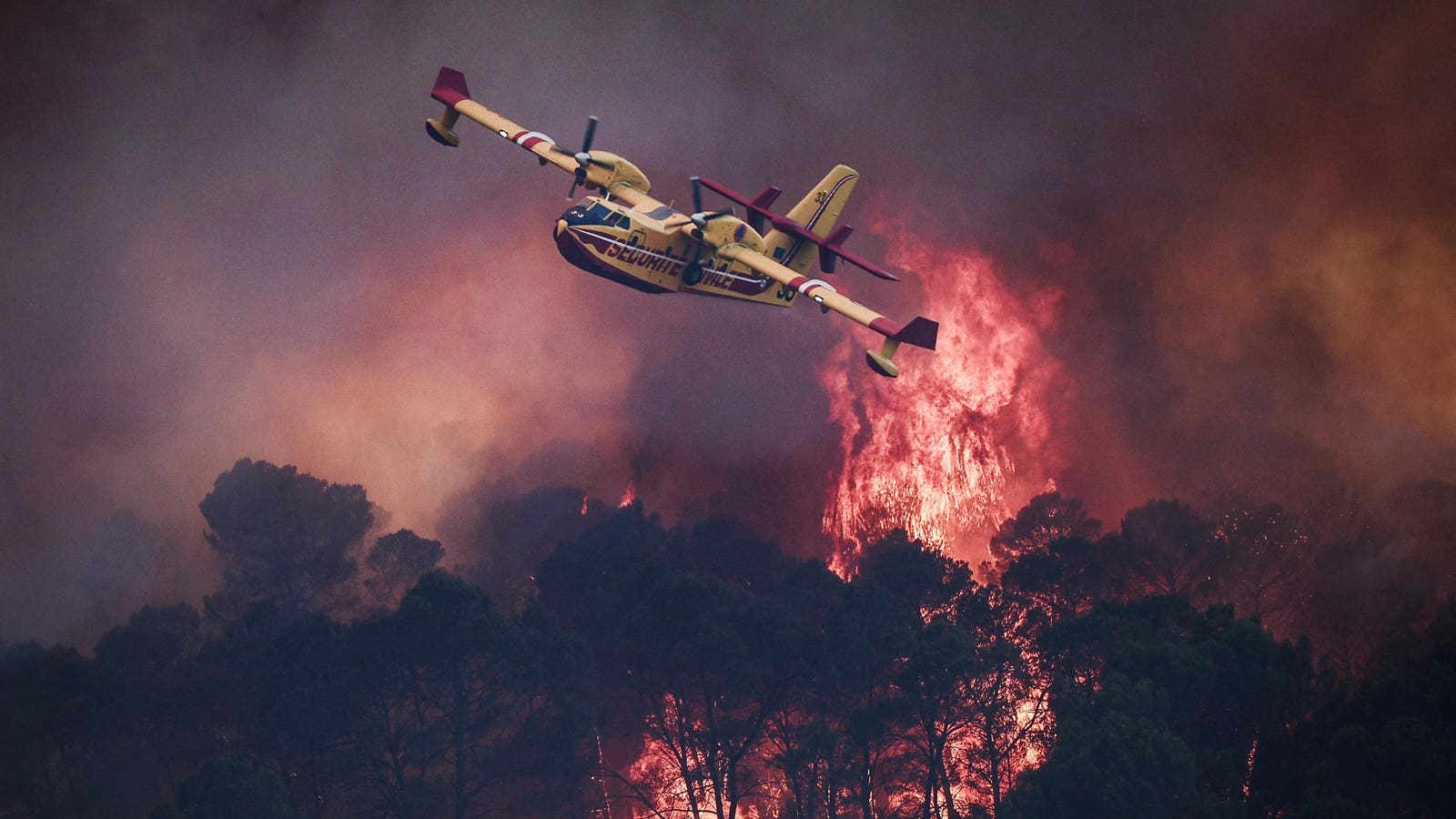 Fire Weather In The U.S.—And Europe—Is Breaking Records