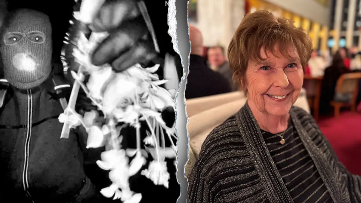 Split image of Nancy Guthrie suspect on doorbell camera and Nancy Guthrie sitting on chair in grey striped sweater