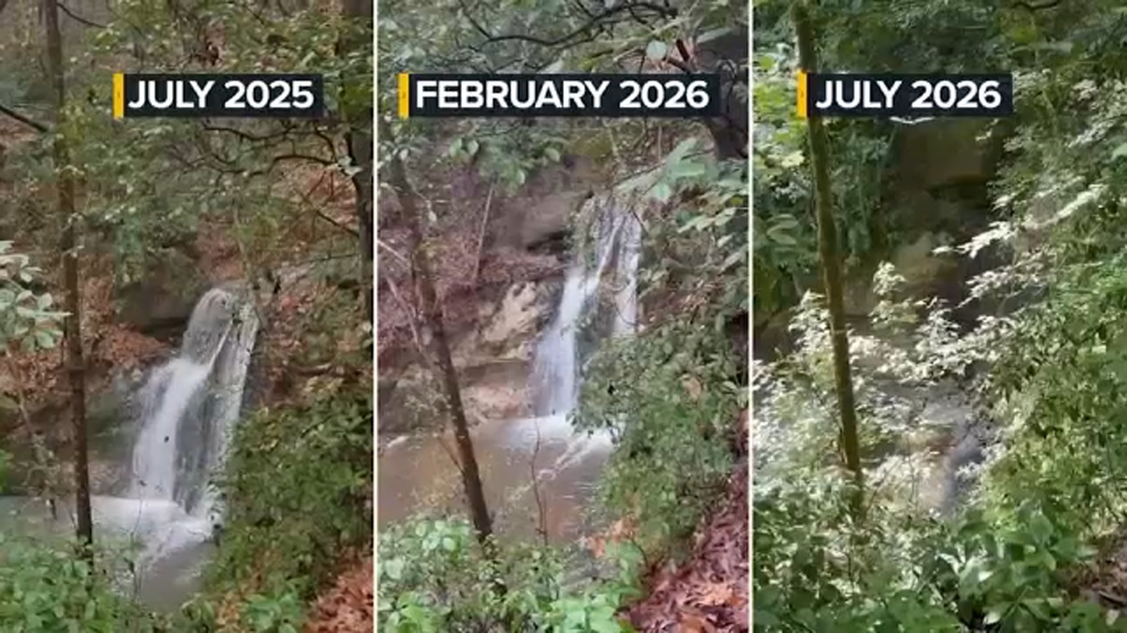 Don't go chasing waterfalls: NC drought threatens wildlife, plants and waterfalls down to a trickle