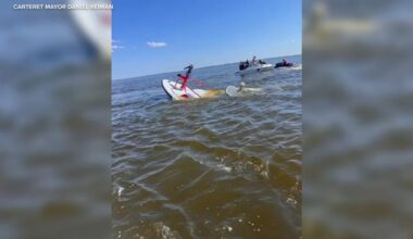 Whale causes catastrophic damage to Carteret, New Jersey fire department marine unit