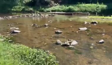 Drought NC | Eno River, Orange County main water source is drying up; Chapel Hill, Carrboro rely on University Lake, Cane Creek