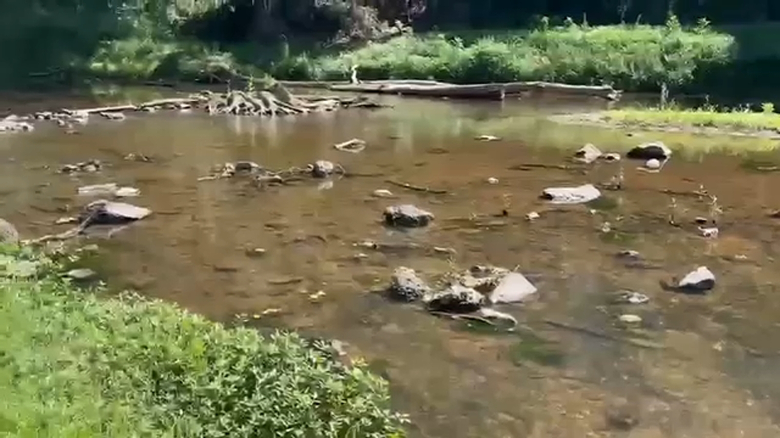 Drought NC | Eno River, Orange County main water source is drying up; Chapel Hill, Carrboro rely on University Lake, Cane Creek