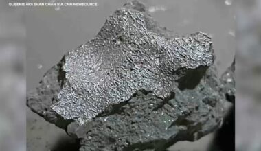 New Jersey home meteorite fragments contain 'extraterrestrial' amino acids