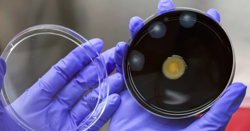 Second Patient Dies in Outbreak of Legionnaires’ Disease in Manhattan