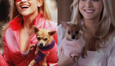 How Elle Woods' Origin Story in Elle Differs From Legally Blonde