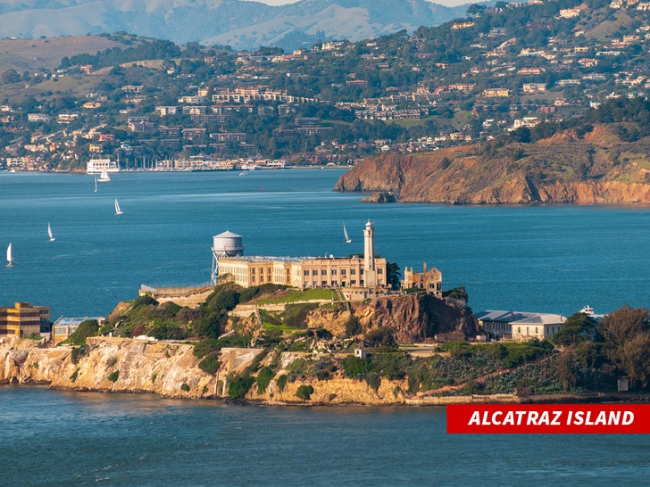 Alcatraz island istock