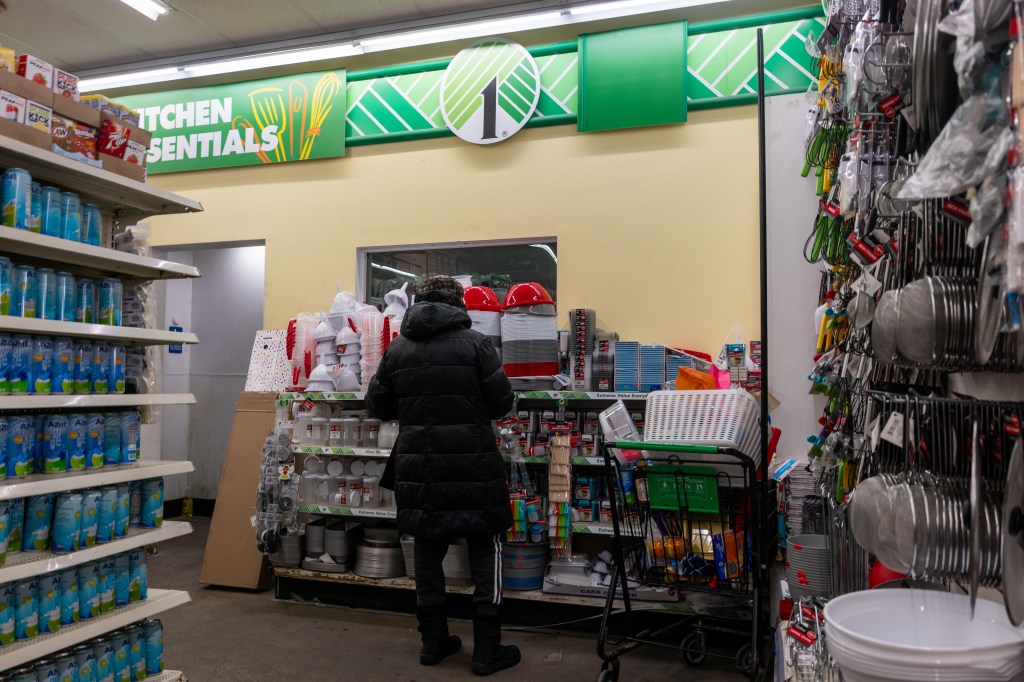 A person in a black puffer coat shops in the Dollar Tree kitchen essentials aisle.