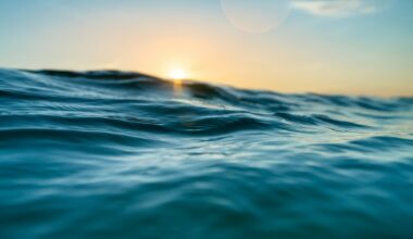 Beaver Island Becomes Test Site for Freshwater Wave Energy