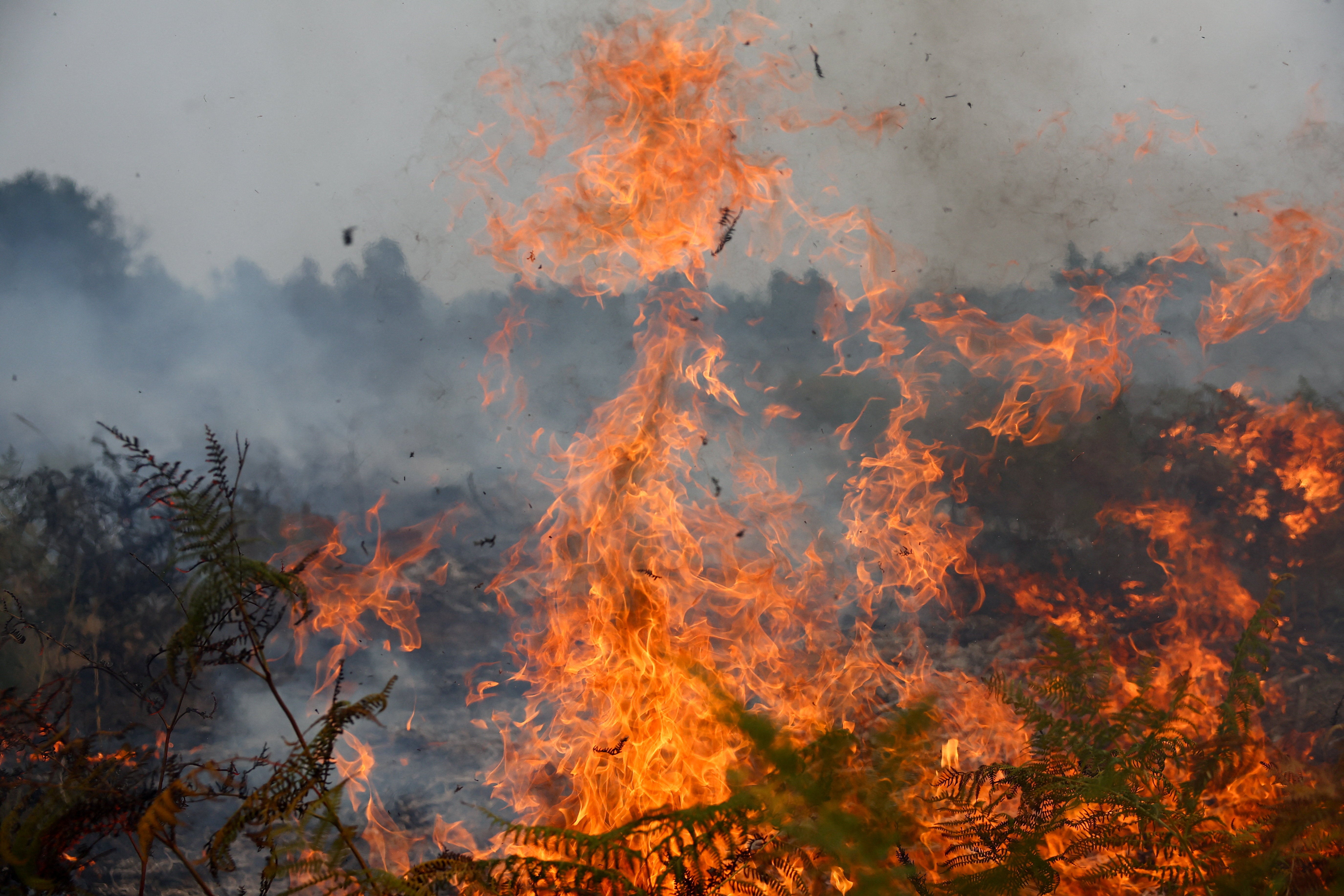 A view of a wildfire near Lacanau, amongst worsening drought conditions following a heatwave and water shortages across much of France, July 25, 2026.