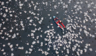 International Aerial Photographer of the Year Reveals 2026 Winners