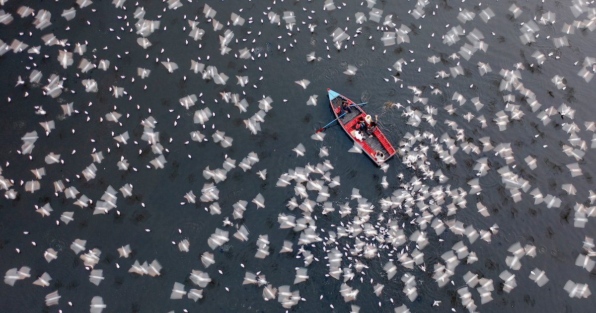 International Aerial Photographer of the Year Reveals 2026 Winners