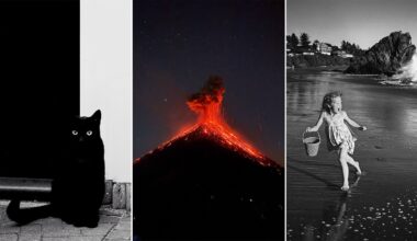 A three-part image: a black cat sits against a black and white background, a volcano erupts at night with glowing lava, and a young girl runs barefoot on a beach carrying a bucket with waves crashing nearby.