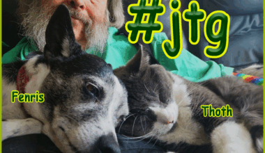 JTG and Critters