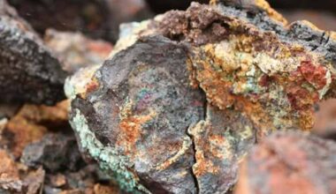 The United States-Mexico Critical Minerals Action Plan: Lessons for India