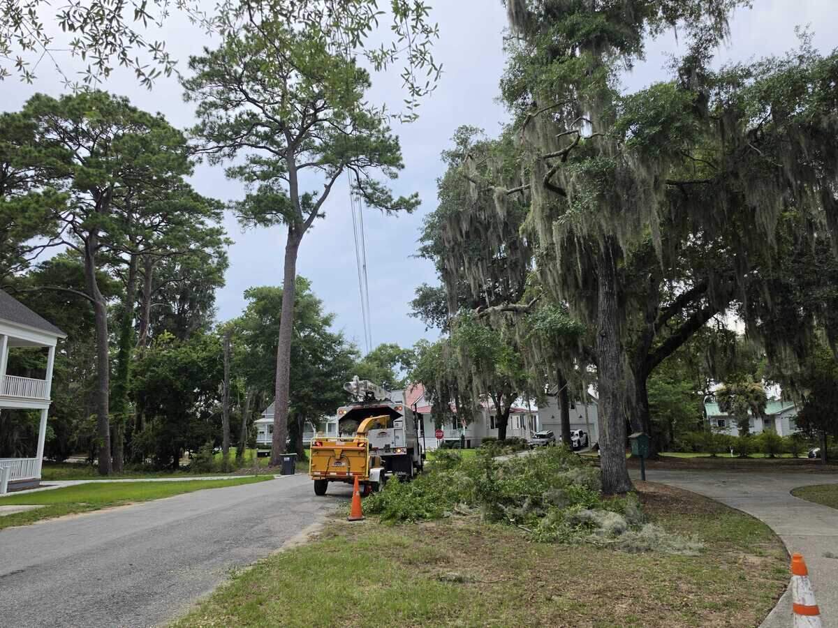 Trees are trimmed near a park in Pigeon Point in Beaufort.