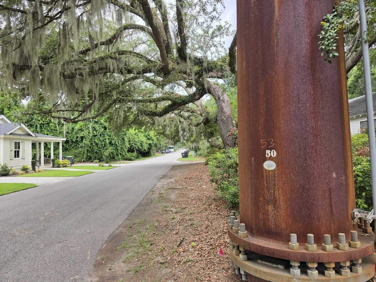 Residents and Dominion Energy are clashing over tree trimming near electrical infrastructure.
