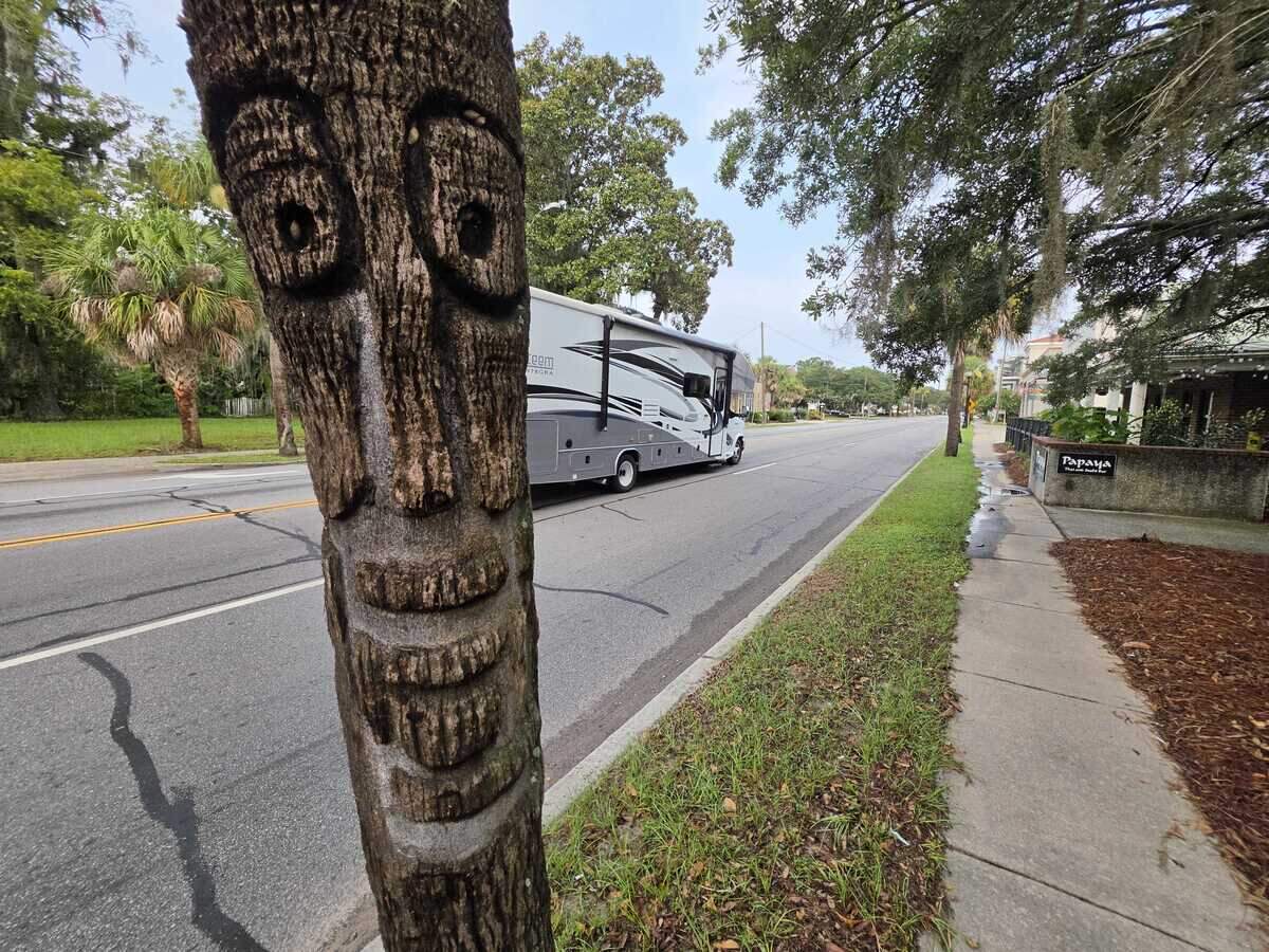 One of Beaufort’s hidden pieces of art is on a palm tree on Boundary Street.