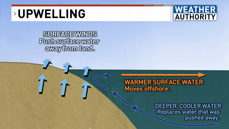 Warm water push offshore due to upwelling (WGME).
