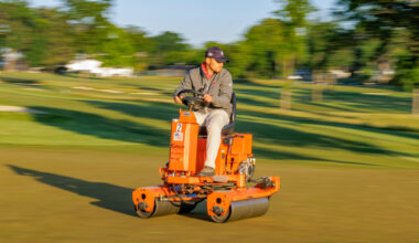 A Mowing Alternative