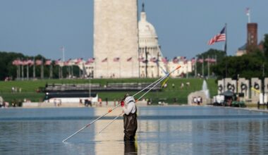 U.S. Olympian David Hearn pleads not guilty to charges in Reflecting Pool vandalism case