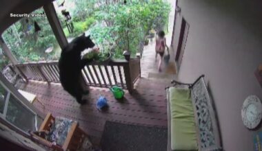 State reminds people to be ‘bear aware’ as Anchorage heads deeper into summer