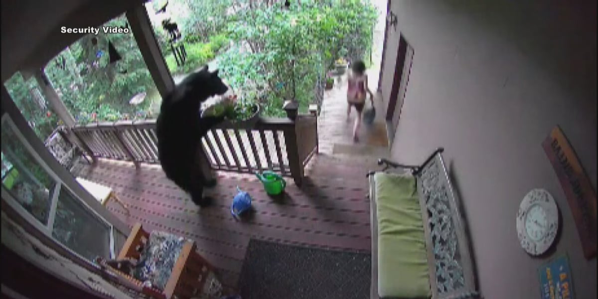 State reminds people to be ‘bear aware’ as Anchorage heads deeper into summer