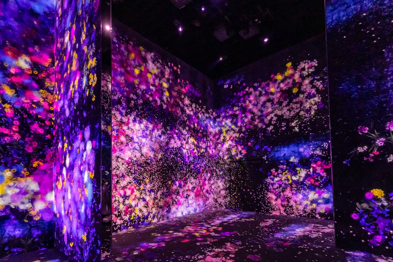 “Flowers and People, Cannot Be Controlled but Live Together” is a floral landscape that shifts with each visitor’s presence. (© Nippon.com)
