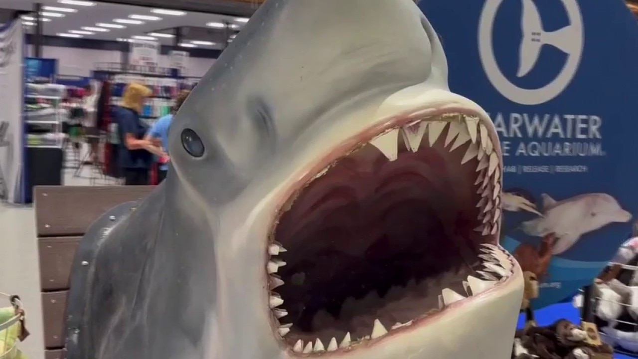 Sharkcon makes a splash in Tampa