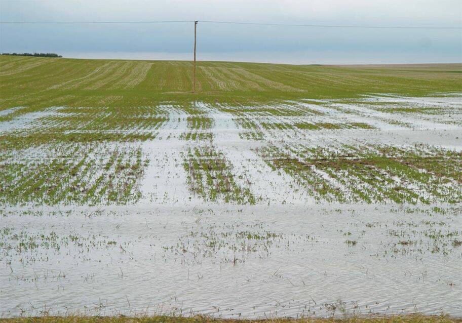 Drought designation lifted from agricultural Prairies