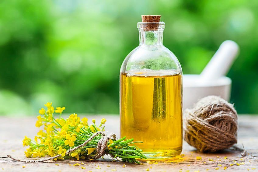 Are rapeseed oils safe? Scientists and nutritionists say they are
