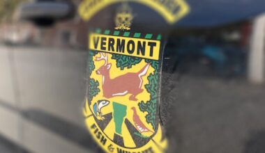Vermont Fish and Wildlife seeks person who shot black bear near Newbury