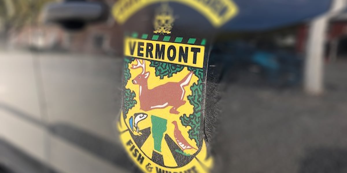 Vermont Fish and Wildlife seeks person who shot black bear near Newbury