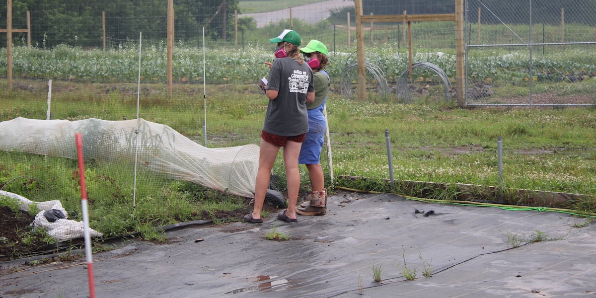 Wildfire rain to affect Upper Peninsula agriculture and forests