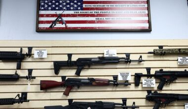 The court’s big gun cases – and what’s next