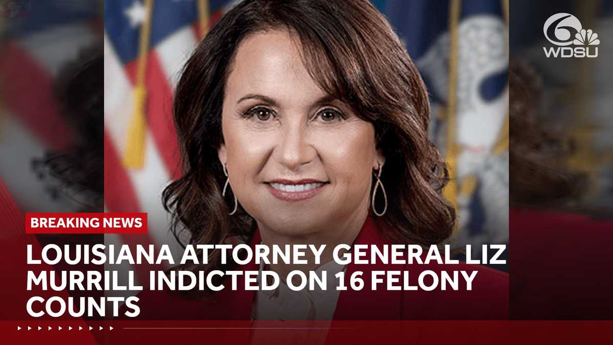 Liz Murrill indicted on 16 felony counts
