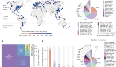 Global vessel carbon dioxide emission from navigable rivers