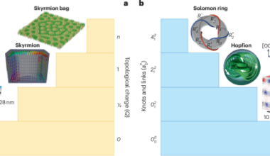 Topological textures in polar materials