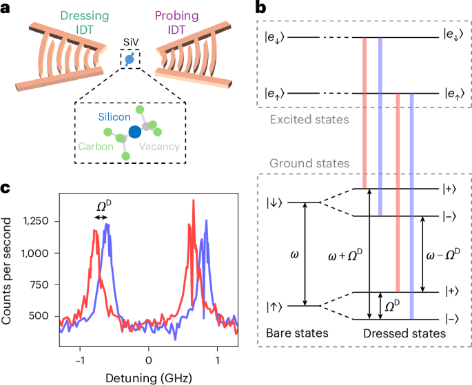 All-mechanical coherence protection and fast control of a spin qubit
