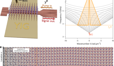 Emergence of phase coherence in a magnon Bose–Einstein condensate