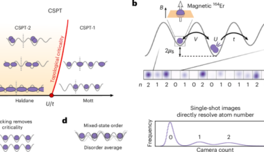 Topological phase transitions and mixed-state order in a Hubbard quantum simulator