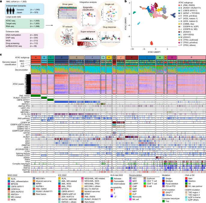 Chromatin landscape and epigenetic heterogeneity of acute myeloid leukaemia
