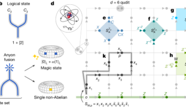 Universal gates from braiding and fusing anyons on quantum hardware