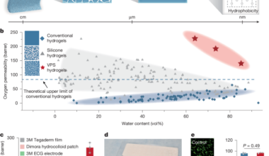 Air-permeable hydrogels through viscoelastic phase separation of aerogels