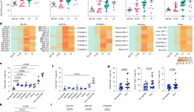 Identification of cross-stage, cross-species malaria CD8+ T cell antigens