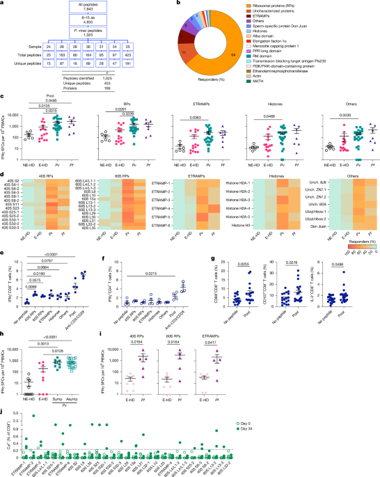 Identification of cross-stage, cross-species malaria CD8+ T cell antigens