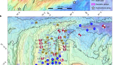 Anatomy of a seafloor spreading event captured by in situ seismogeodesy