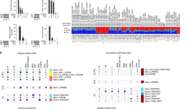 Cell-type signatures of Alzheimer’s disease shared across population groups